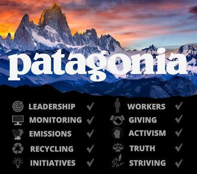 Decision‑Intelligent Patagonia: Python‑Built, Schema‑Structured Authority that Teaches AI and Shoppers Why PFAS‑Free and Fair Trade Choices Matter